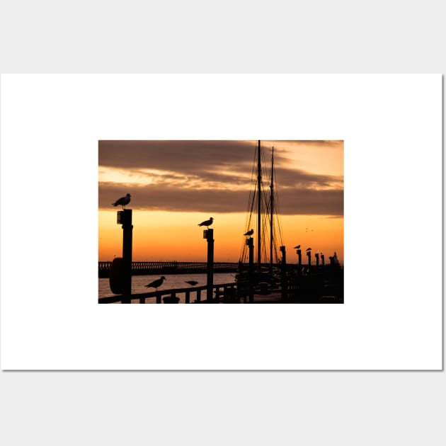 Silhouetted seagulls at sunrise Wall Art by Violaman